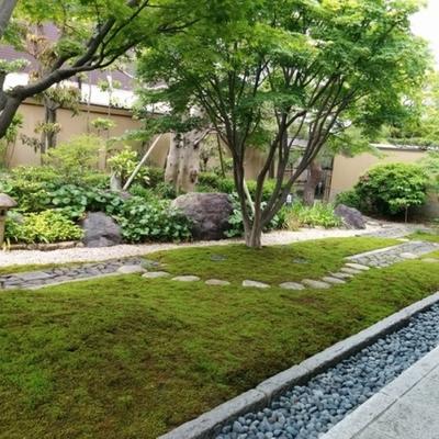 関連画像 関連画像